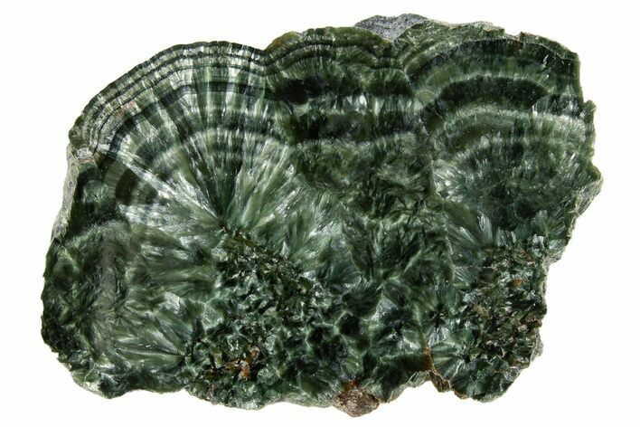 Polished Seraphinite Slab - Korshunovkiy Mine, Siberia #317745